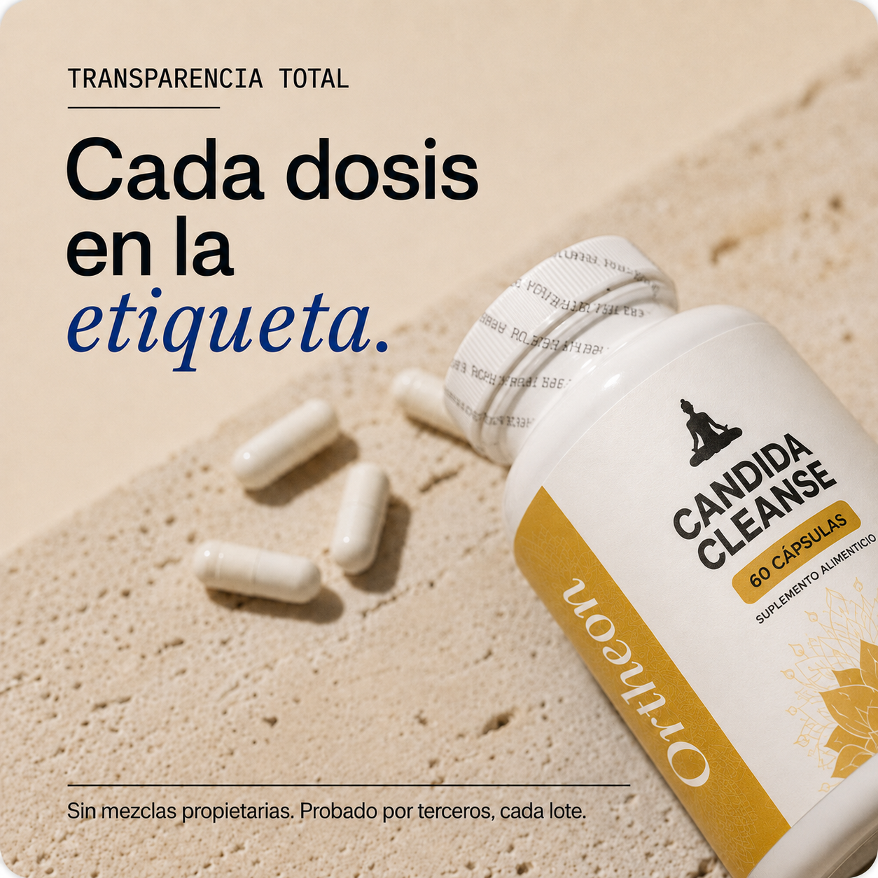 Ortheon™ Candida Cleanse | Pureza y Balance Natural 🌿